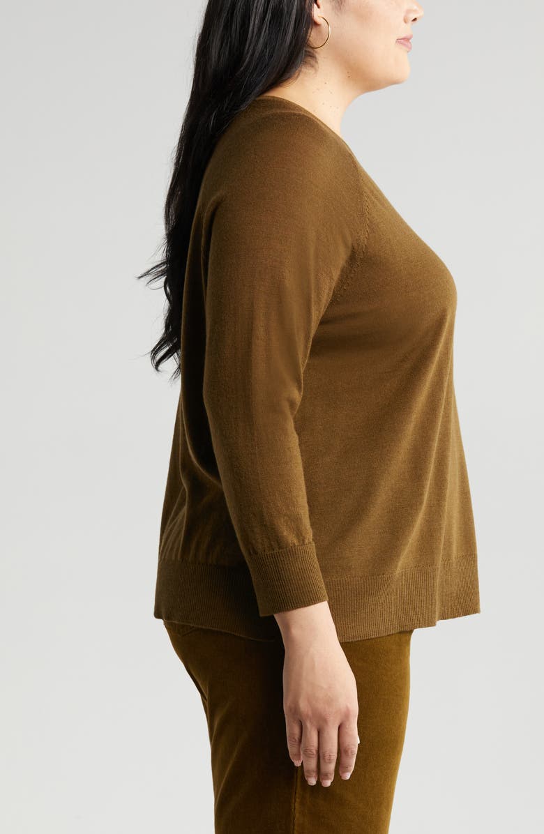 Eileen Fisher Raglan Sleeve Merino Wool Jersey Sweater, Alternate, color, 