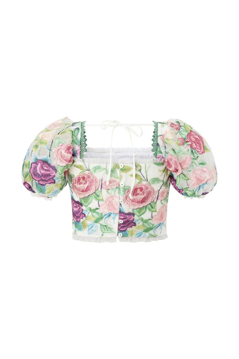 Rachelle Embroidered Top, Alternate, color, Floral