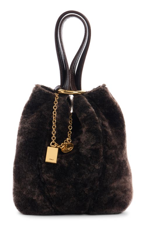 Chloé Small Spin Genuine Shearling Tote In Brown