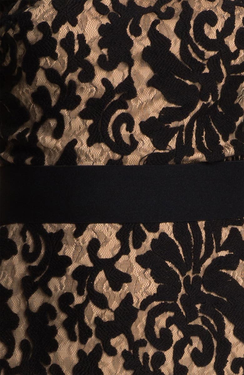 Tadashi Shoji Textured Lace Dress, Alternate, color, 