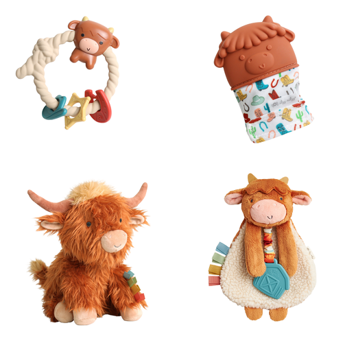 Itzy Ritzy Kids'  Ritzy Rodeo Pack In Multi