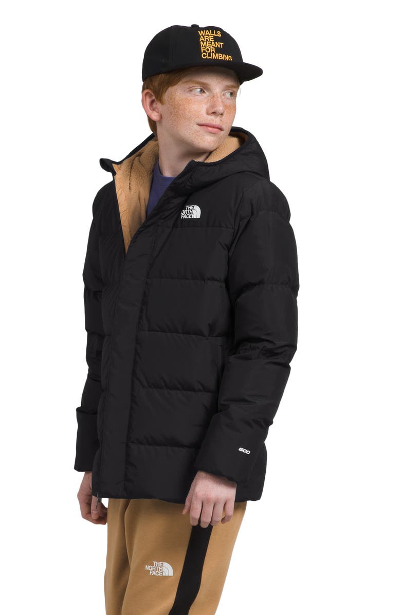 The North Face Kids' Water Repellent Down Parka, Alternate, color,