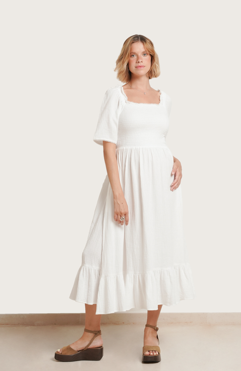 Raquel Maternity & Nursing Dress
