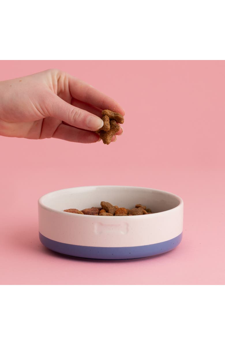 MASON CASH Speckle Dip Dog Bowl, 5.9 Inch, 15.2 ounces, Food & Water Dish, Alternate, color, Multicolored