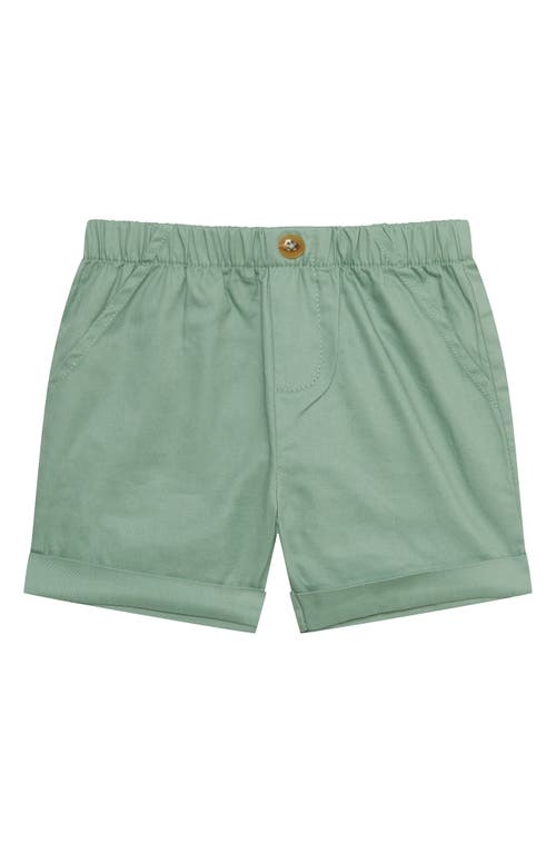 Pl Baby By Petit Lem Cotton Button-up Shirt, Shorts & Socks Set In Palm Tree