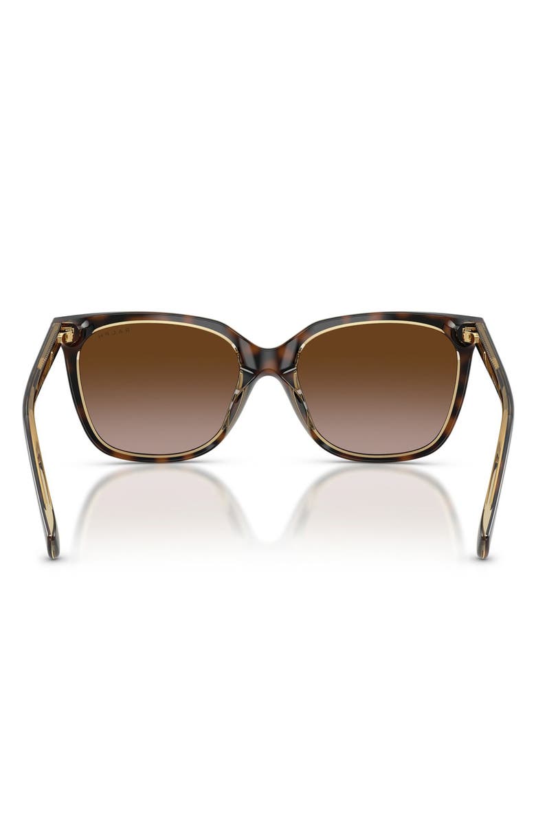 Ralph Lauren 55mm Square Sunglasses, Alternate, color, Dark Havana / Brown