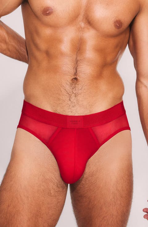 Sheer Edge Briefs