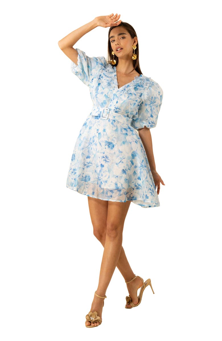 Hale Bob Promise Floral Organza Dress, Main, color,