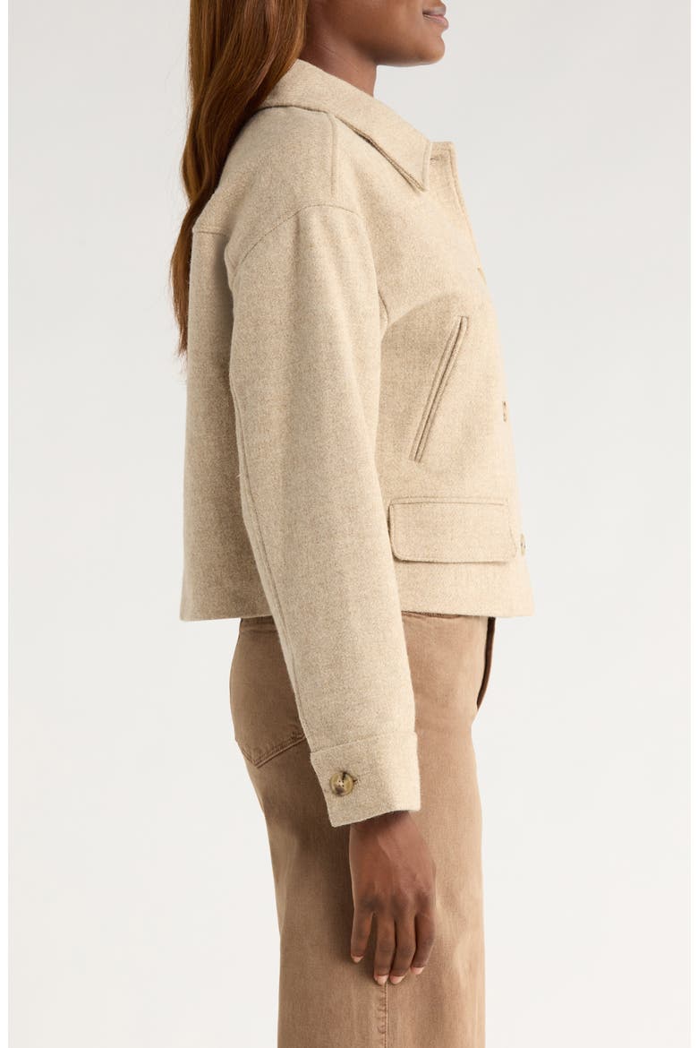 Alfie Wool Jacket, Alternate, color, TAUPE MULTI