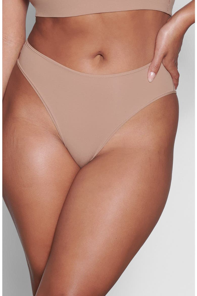 Fits Everybody Cheeky Briefs, Main, color, SIENNA