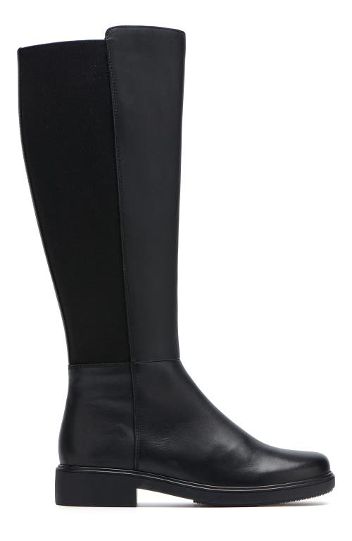 Abeo Compass Stretch Tall Boots In Black - Regular