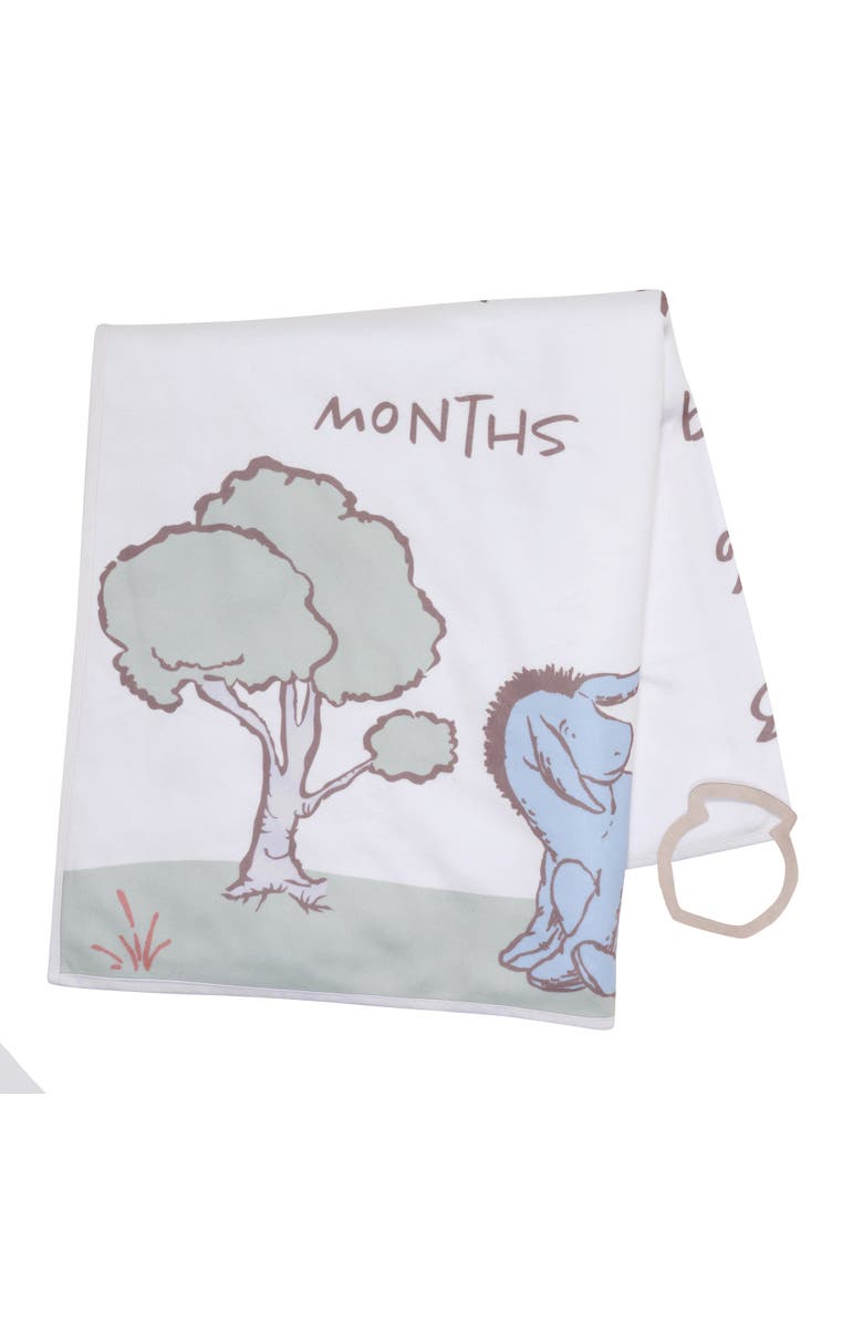 Lambs & Ivy Disney Pooh Bear and Pals Photo Opp Milestone Fleece Baby Blanket, Alternate, color, White