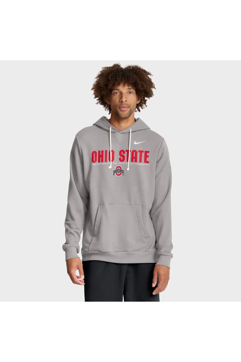 Men's Nike Gray Ohio State Buckeyes 2025 Sideline Standard Issue Dri-FIT Hoodie, Alternate, color, Gray