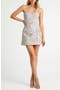 Lulu Floral Embroidered Strapless Minidress