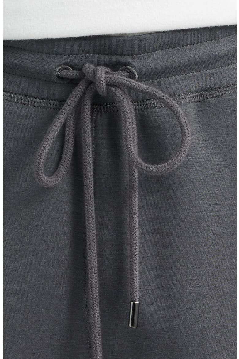 Milk Protein Blend Shorts, Alternate, color, CHARCOAL