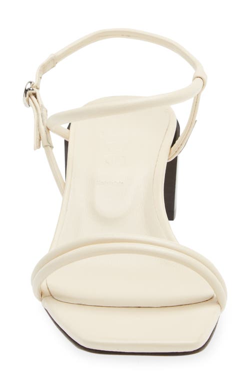 Aeyde Estelle Ankle Strap Sandal In Creamy
