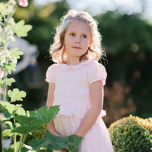 Shop Hope & Henry Girls' Organic Puff Sleeve Smocked Party Dress, Kids In Pale Pink