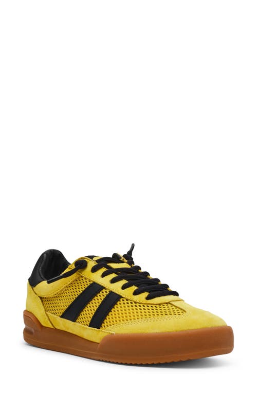 STEVE MADDEN STEVE MADDEN VERDICT MESH SNEAKER