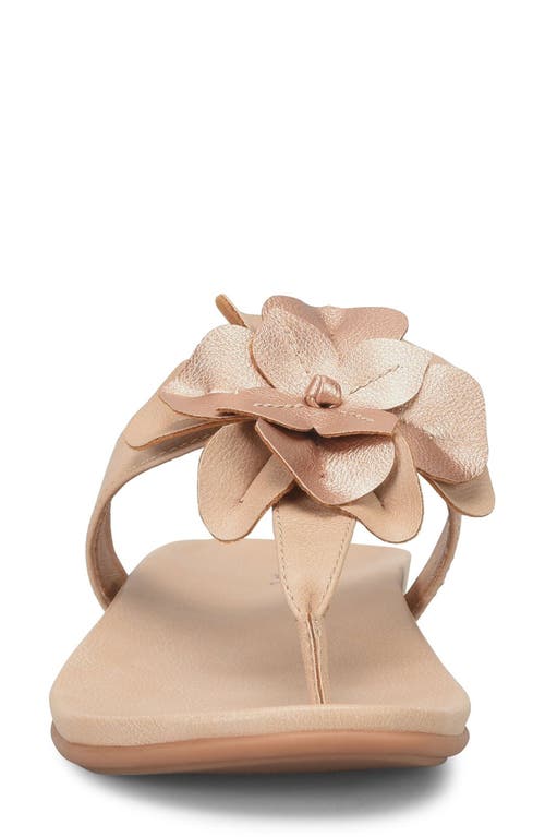 B O C By Børn Kendal Floral Appliqué Sandal