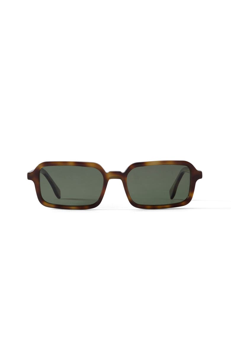 Lou Sunglasses, Main, color, Brown / Tortoise