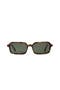  Brown / Tortoise