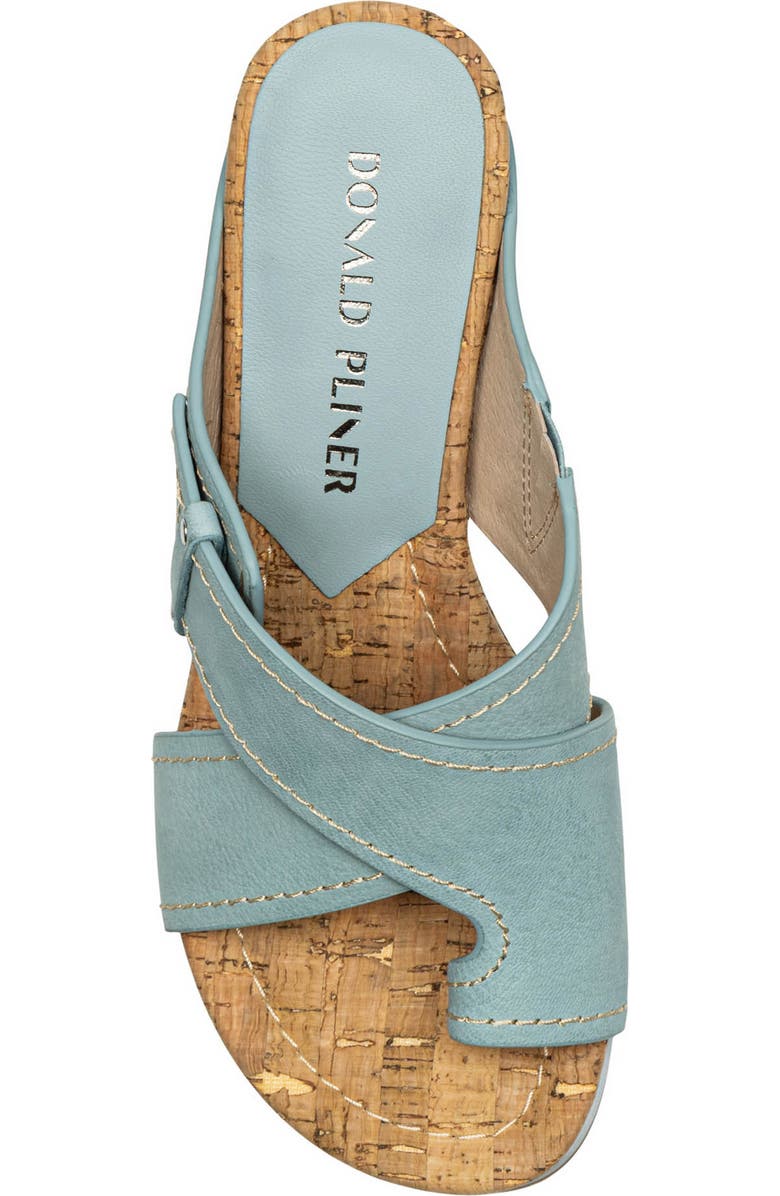 Donald Pliner Irini Platform Wedge Sandal, Alternate, color, Light Blue