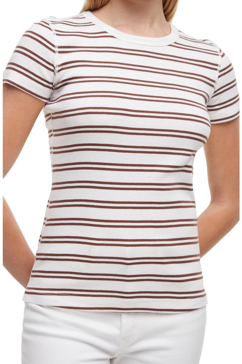 Cotton Rib T-Shirt, Alternate, color, CHOCOLATE LAB STRIPE