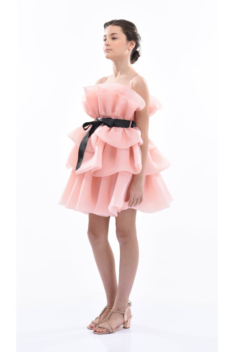 Noella Dress, Alternate, color, Pink