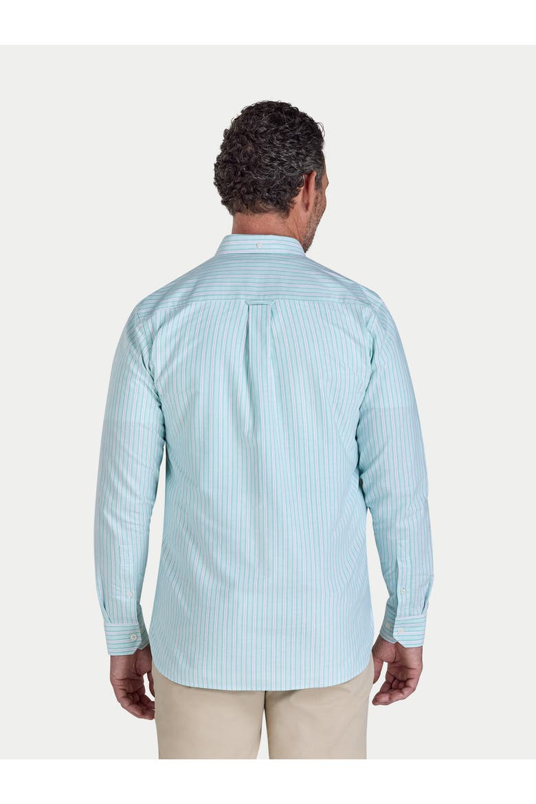 Stanford Long Sleeve Oxford Shirt, Alternate, color, Green