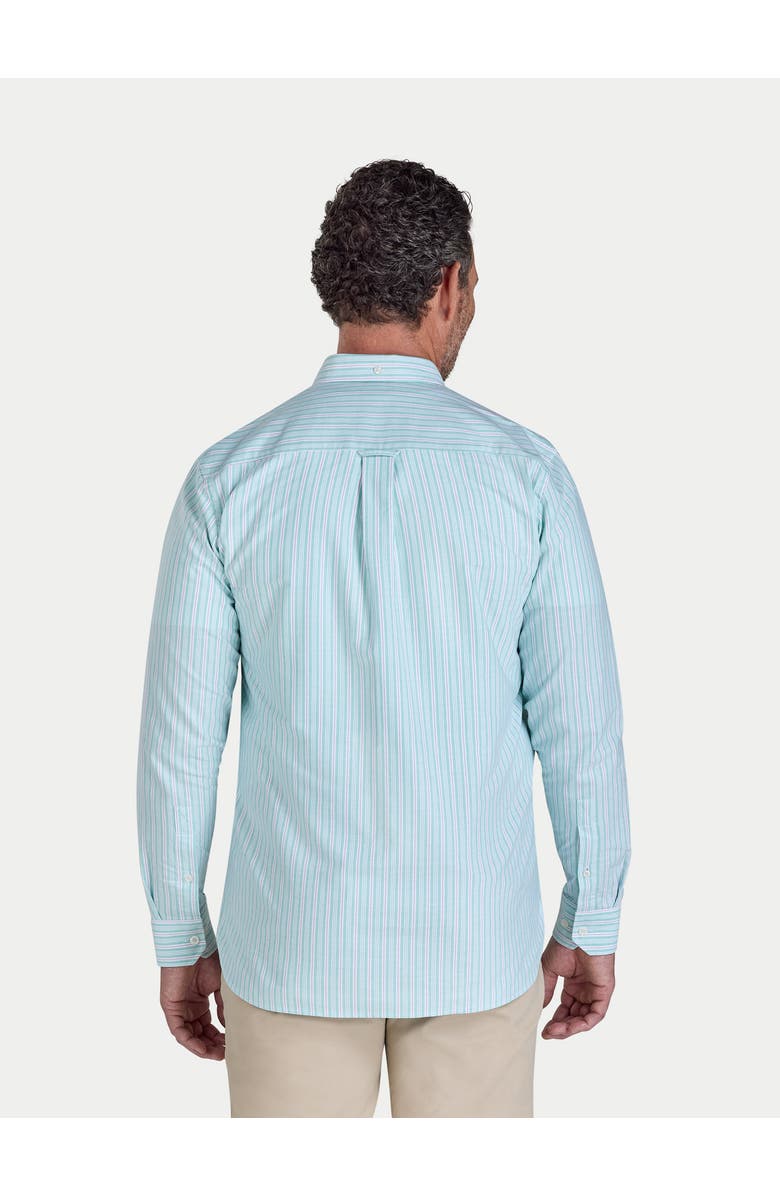 Raging Bull Stanford Long Sleeve Oxford Shirt, Alternate, color, Green