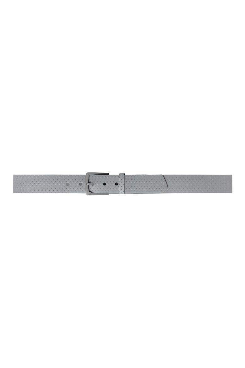 Pilatus 2.0 Leather Belt, Alternate, color, QUIET SHADE