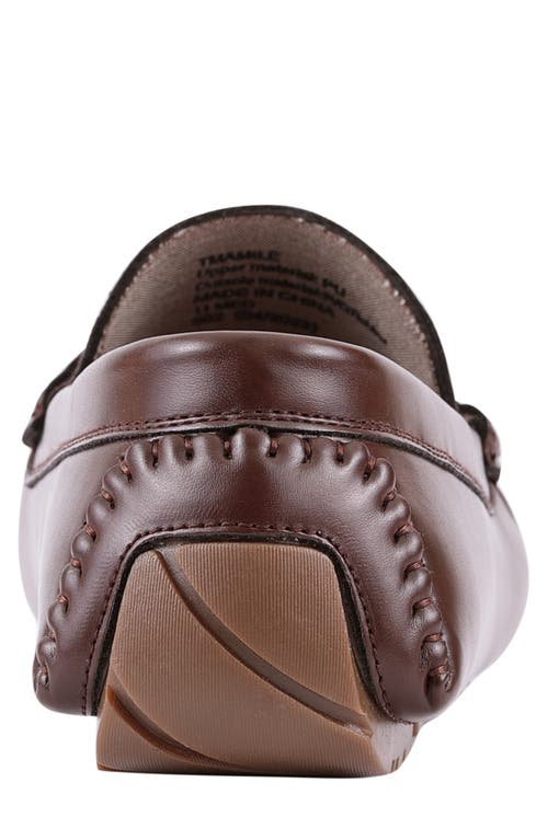 Tommy Hilfiger Amile Penny Driver Loafer In Dark Brown