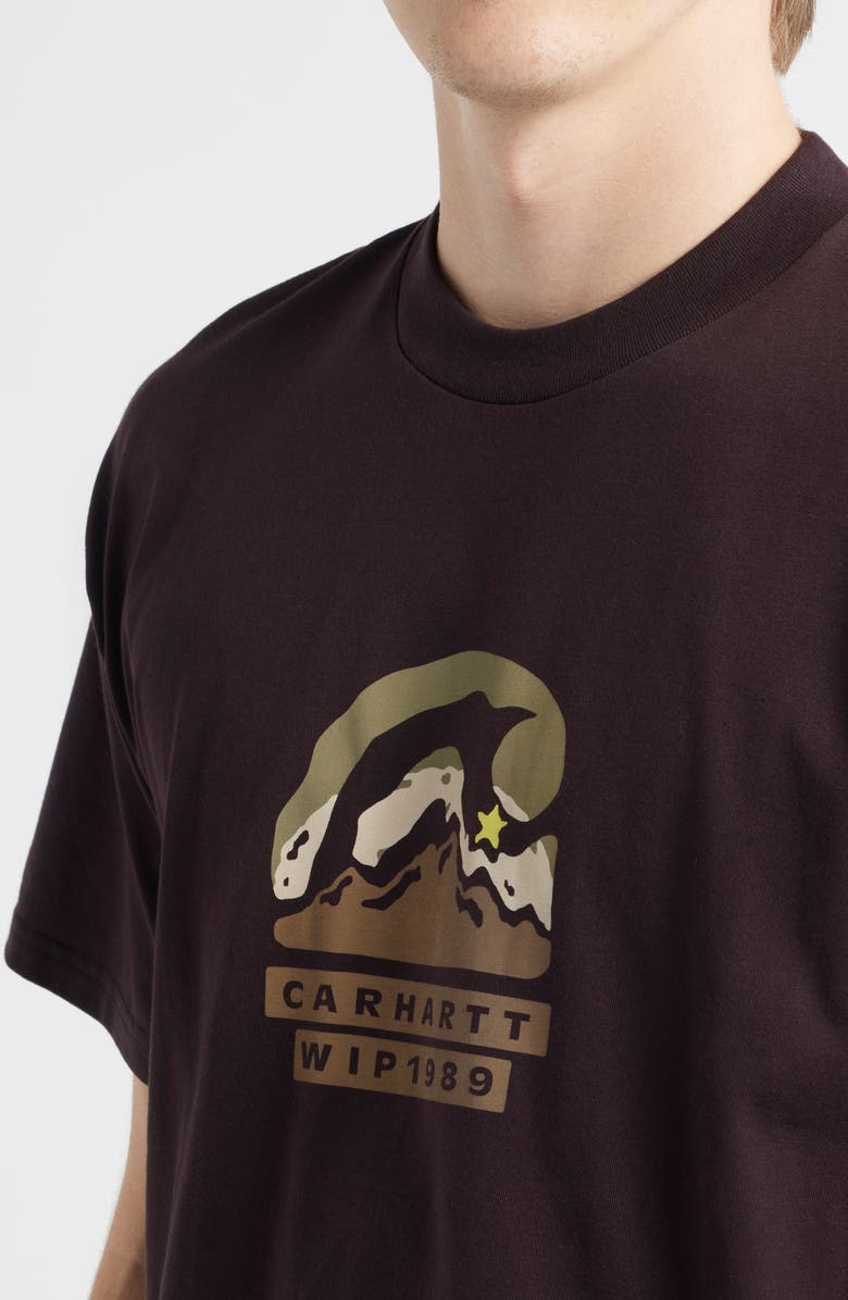 Carhartt Work In Progress Rising Helix Cotton Graphic T-Shirt, Alternate, color, Palisander