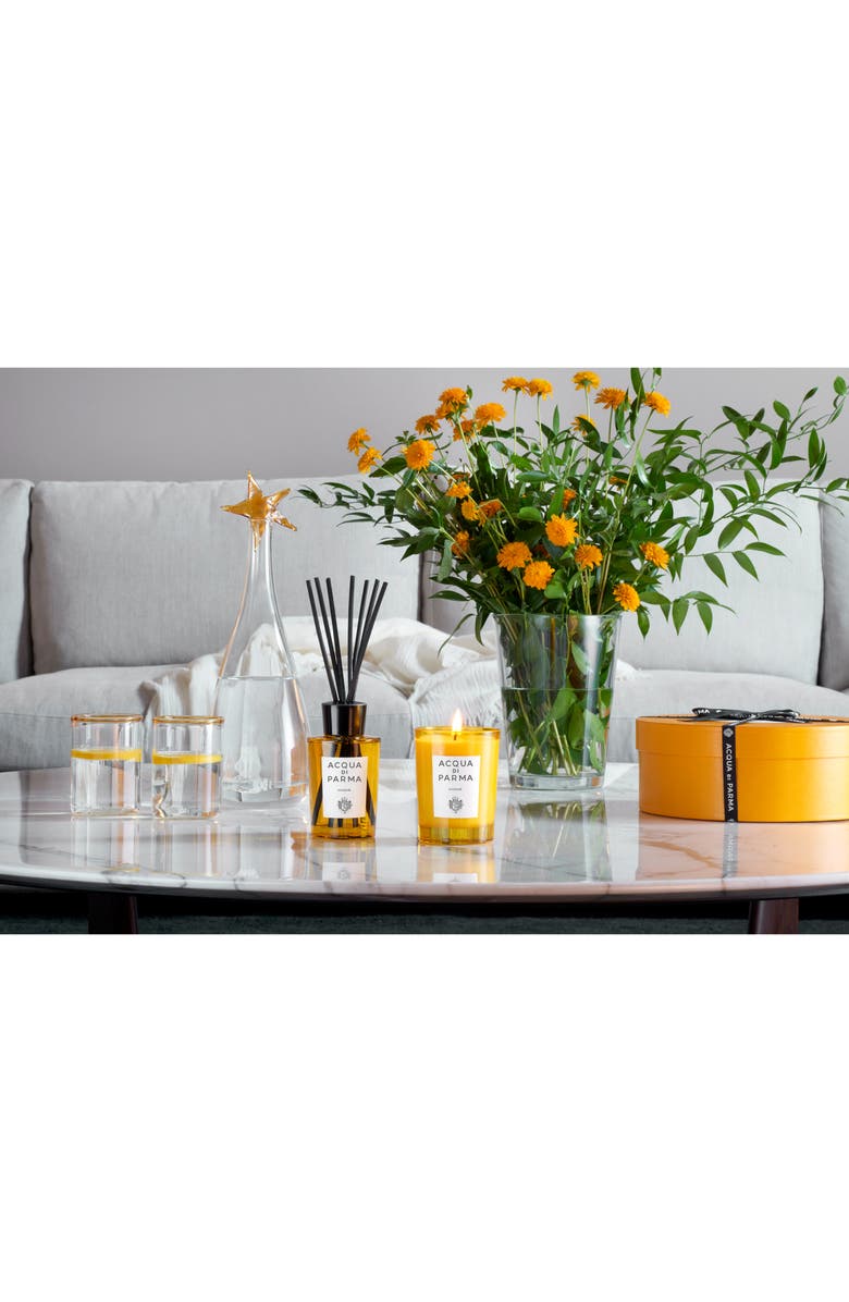 Acqua di Parma Insieme Scented Candle, Alternate, color,