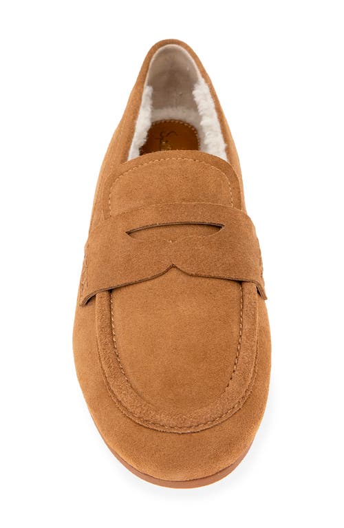 Splendid Max Faux Shearling Lined Loafer In Brown