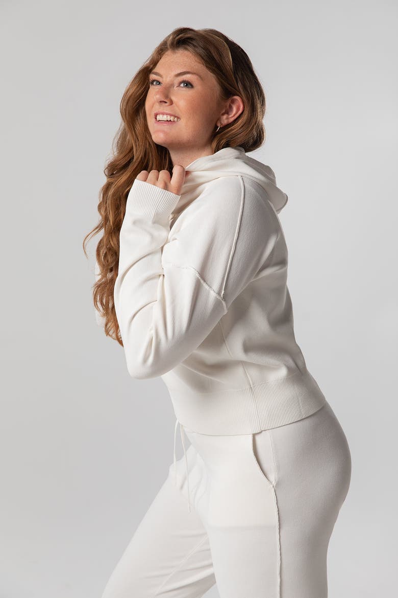 The Sweater Hoodie, Alternate, color, SALT