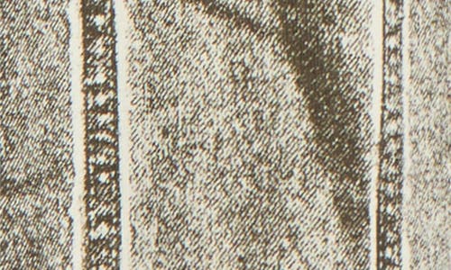 Pleasures Trucker Trompe L'oeil Print Heavyweight Long Sleeve Graphic T-shirt In Brown