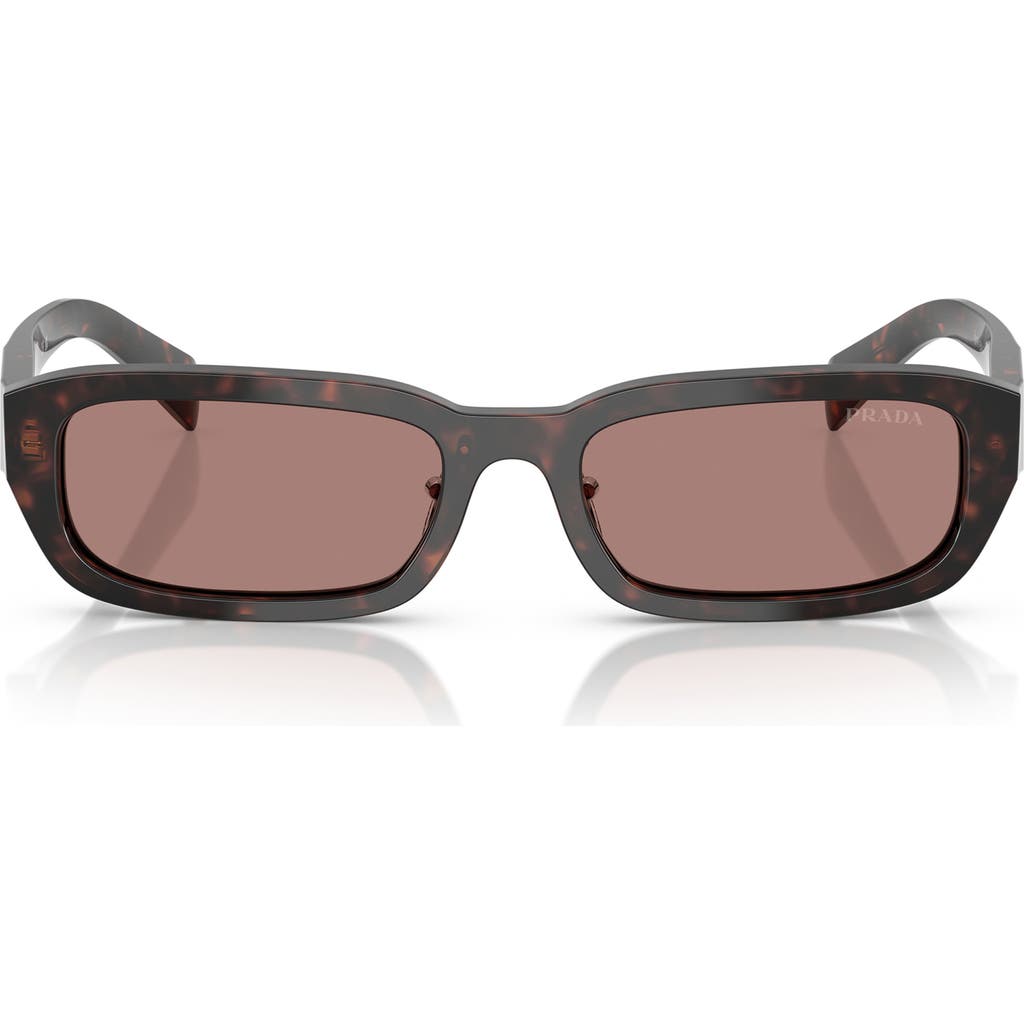 Prada 55mm Rectangular Sunglasses In Lite Brown
