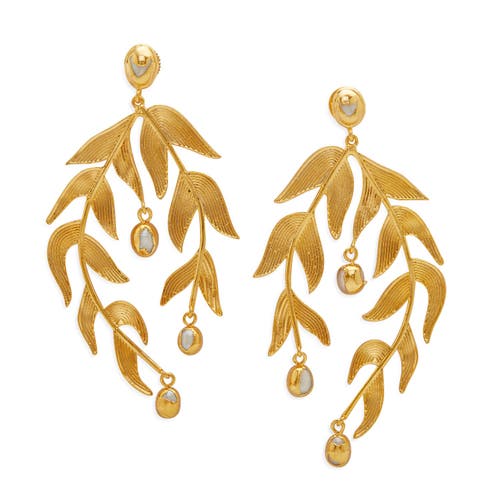 Dhwani Bansal Sooki Chandelier Earrings In Gold Plated
