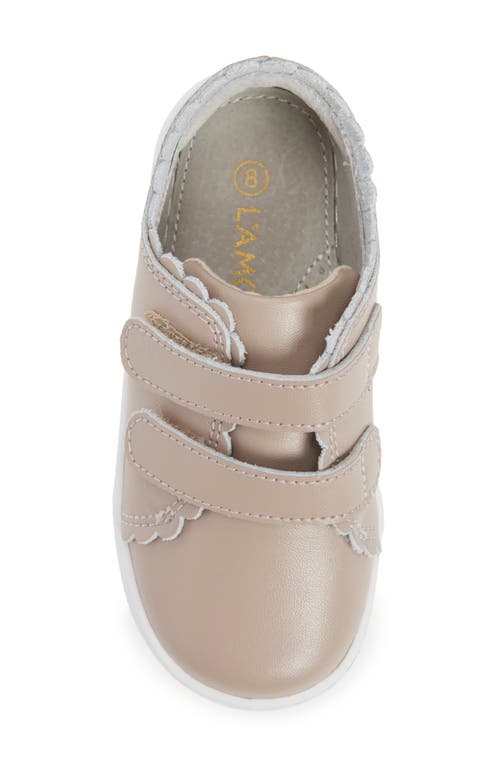 L'amour Caroline Scallop Sneaker In Brown