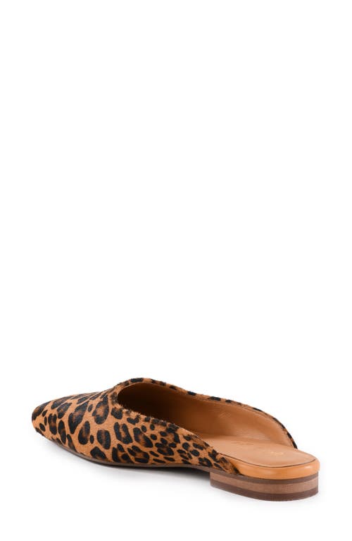 Seychelles Prim & Proper Mule In Animal Print