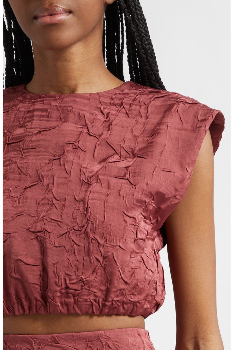 Gisella Crinkle Satin Crop Top, Alternate, color, FIG