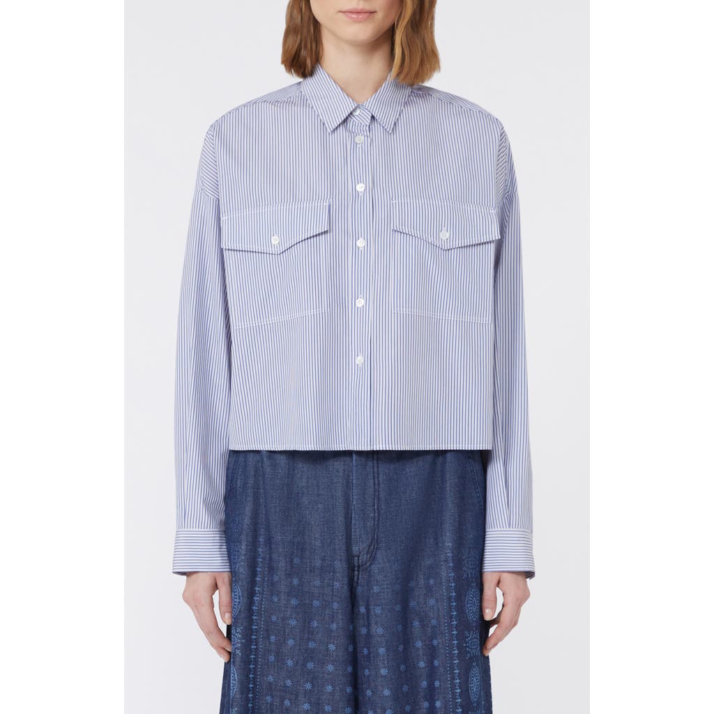Weekend Max Mara Doria Stripe Colorblock Button-up Shirt In Blue