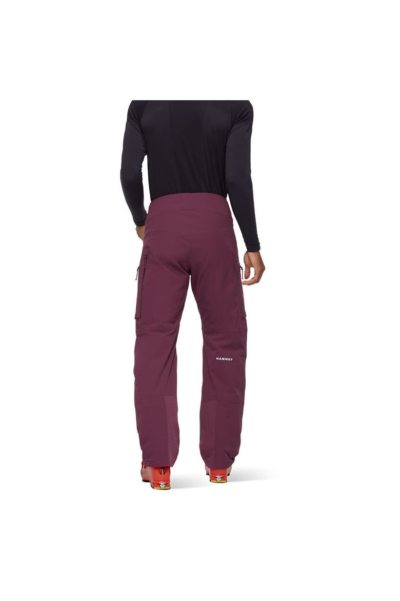 Stoney Hs Thermo Pant - Men's, Alternate, color, Vin