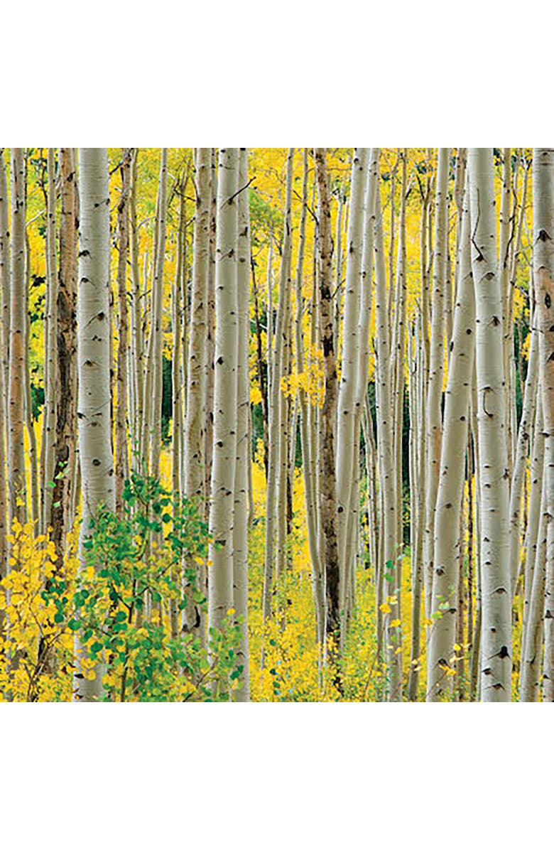Hart Puzzles Aspens, Aspens, Aspens 1000 Piece Puzzle by OW Lawrence, Alternate, color, Multicolored