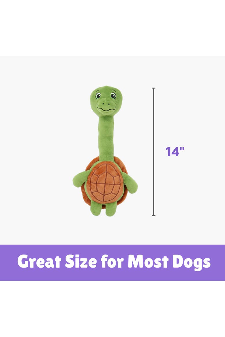 Turtle & Ostrich, 14 Inch Dog Toys, Alternate, color, Multicolored