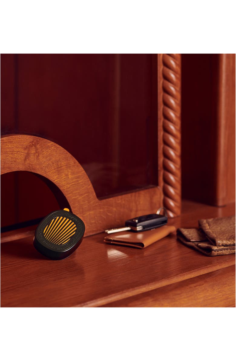 Diptyque 34 Boulevard Saint Germain Car Fragrance Diffuser & Refill Insert, Alternate, color,