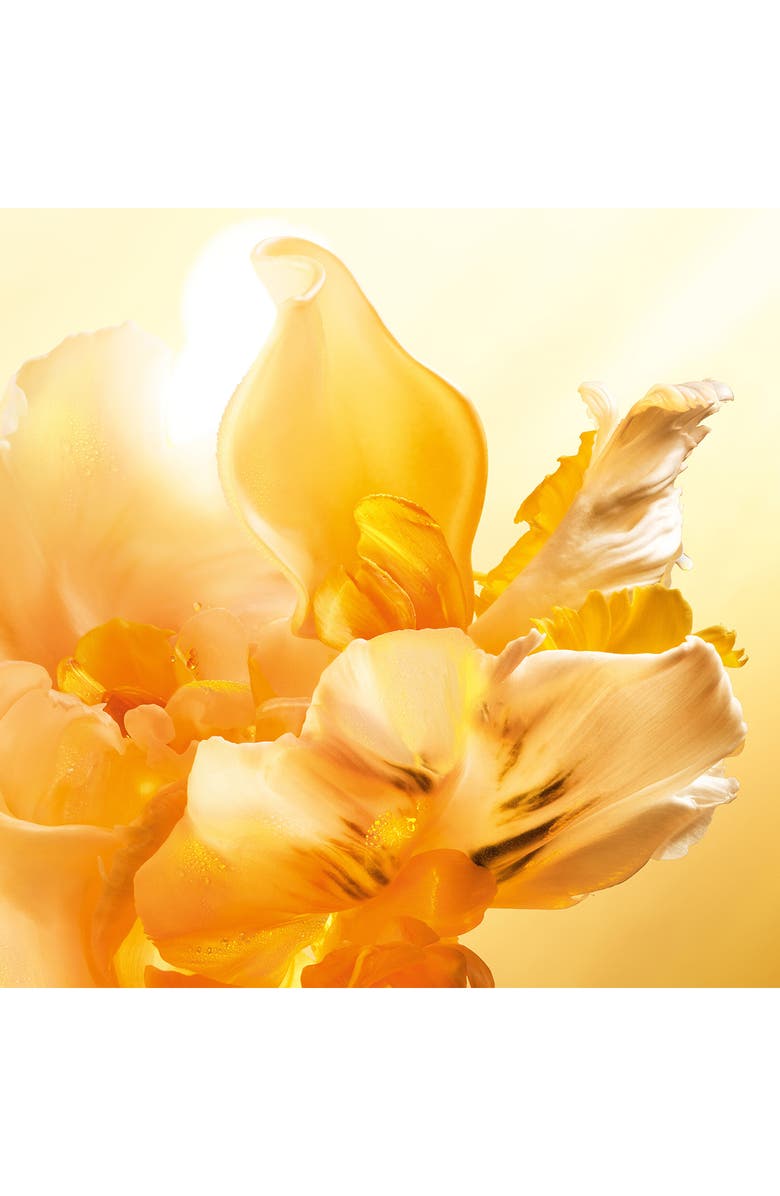 DIOR J'adore Eau de Parfum Roller-Pearl, Alternate, color,