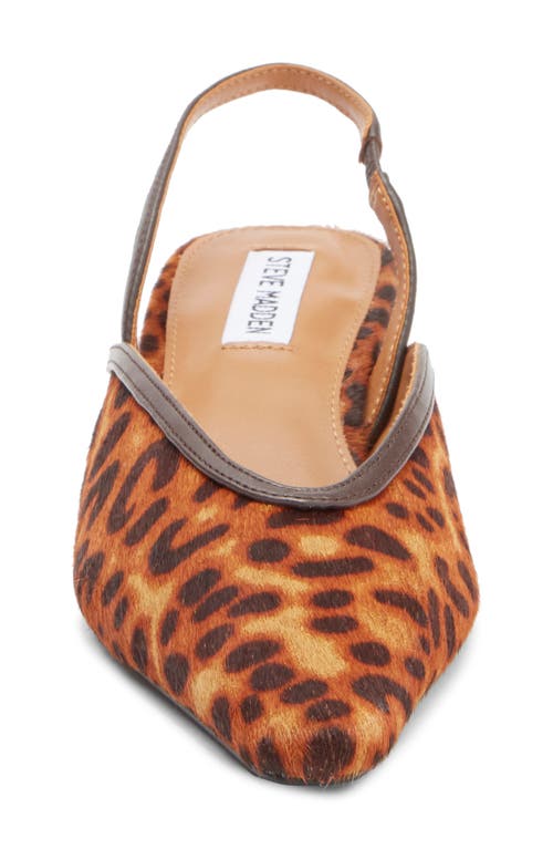 Steve Madden Haleigh Slingback Pump In Leopard Calf Hair
