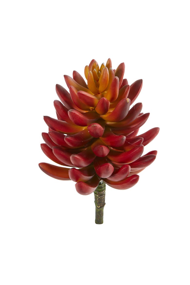 7.5-in Succulent Artificial Plant, Main, color, Orange
